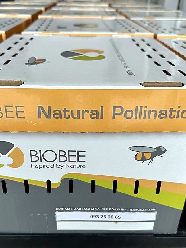 BioBee — Bumblebee hives