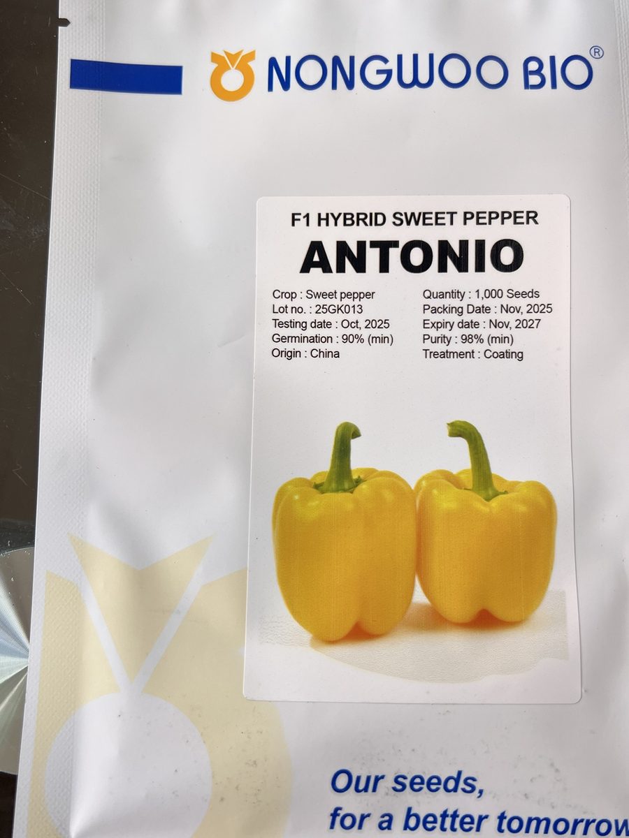 NongWoo Bio — Sweet pepper Antonio F1