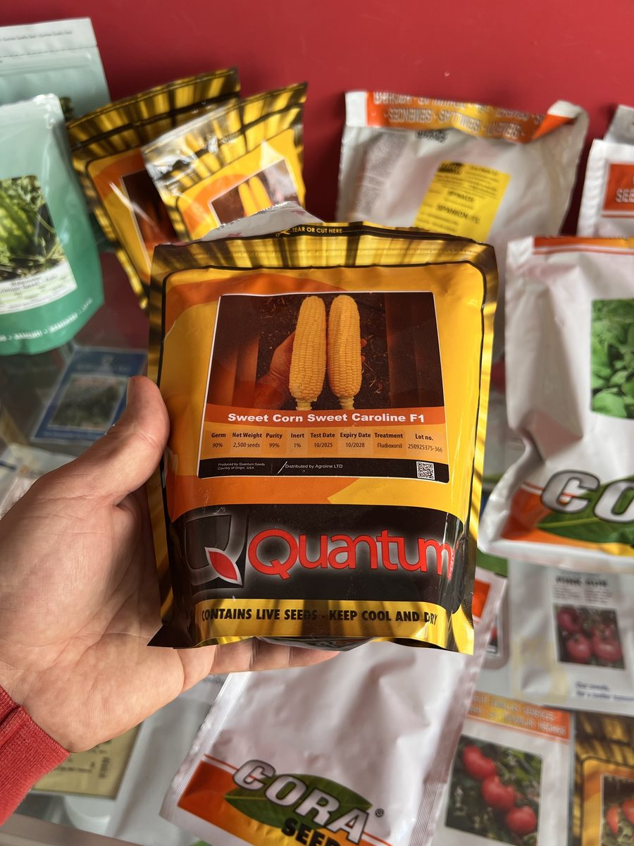 Quantum · Cora Seeds — Seeds in our shop