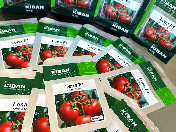 The Kiban — Tomato Lena F1